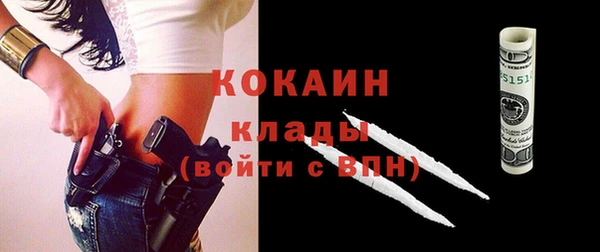 гашик Пересвет