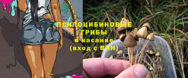гидропоника Абдулино
