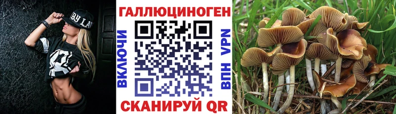 Галлюциногенные грибы мицелий  продажа наркотиков  Бирюсинск 